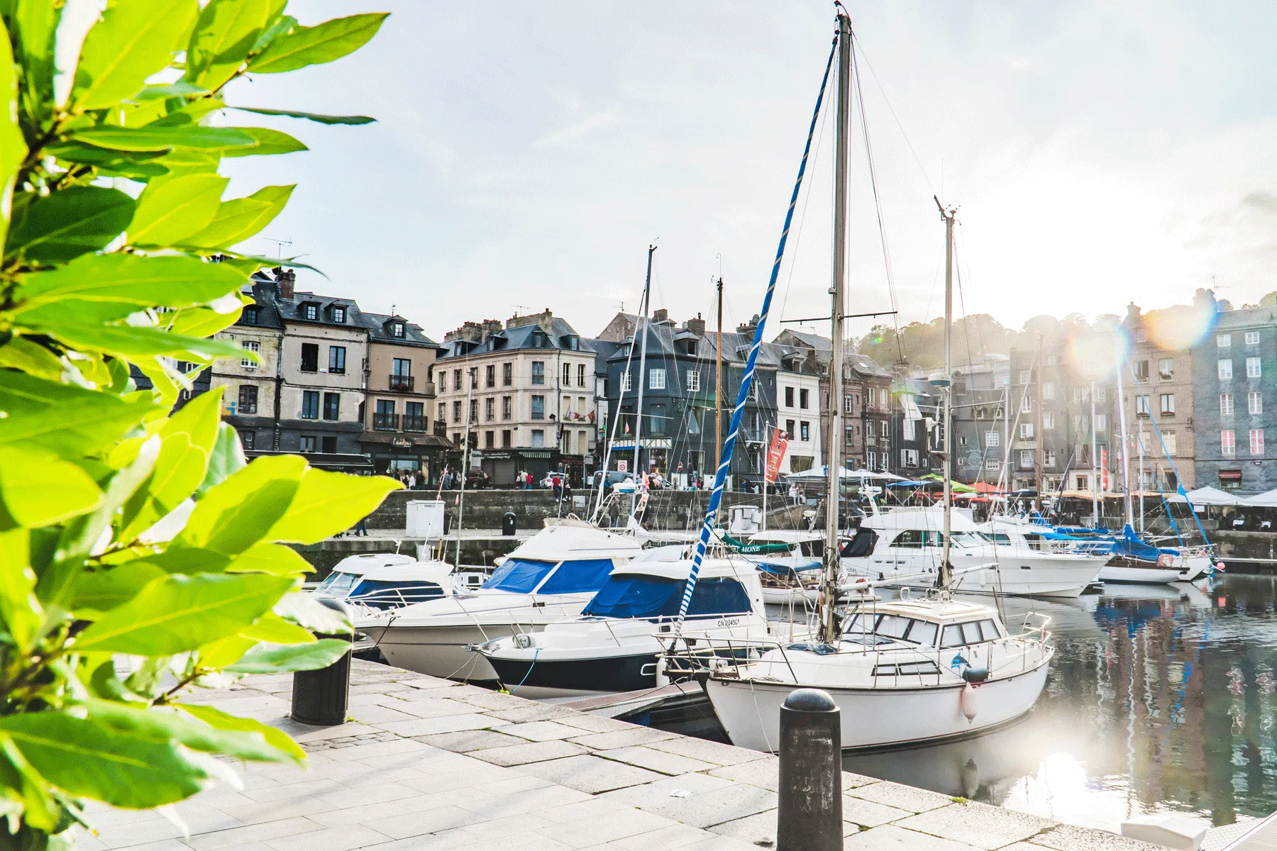 vue sur le port d'Honfleur depuis la terrasse du restaurant Le Vieux Honfleur